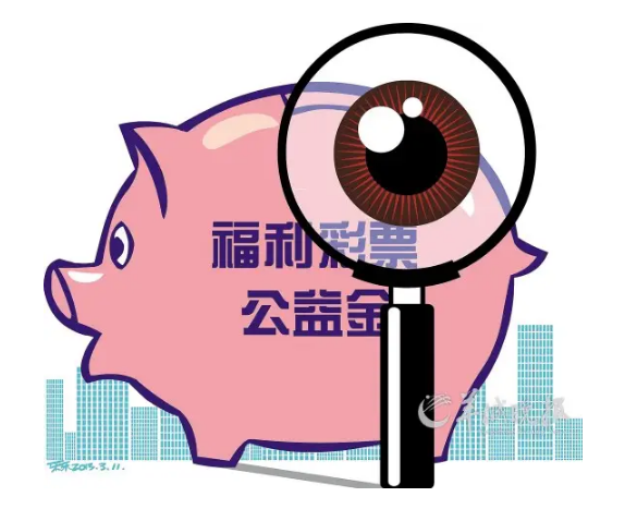 湖南省财政厅关于2021年中央专项彩票公益金使用情况的公告
