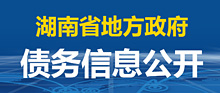 湖南省地方政府债务信息公开